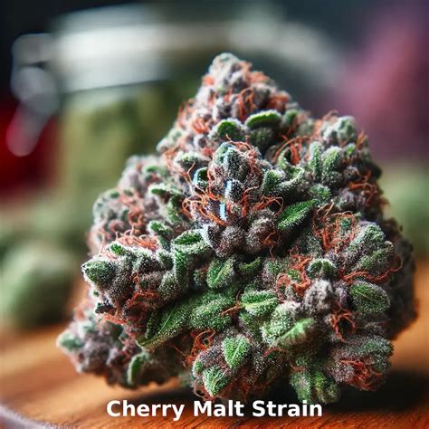 cherry malt strain leafly.